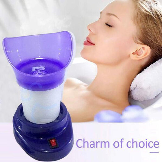 Face Steamer